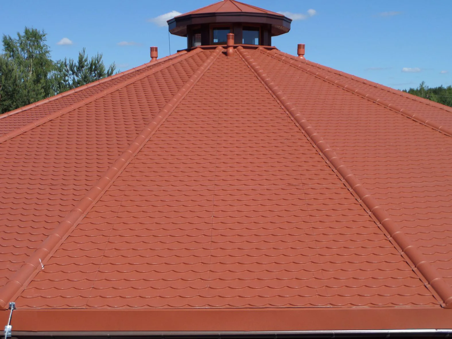 BIBERSCHWANZ Dachpfannenprofil DACH – Bild 3