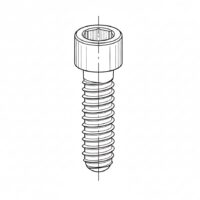 Innensechskantschraube (für SYSTEM 1/2)